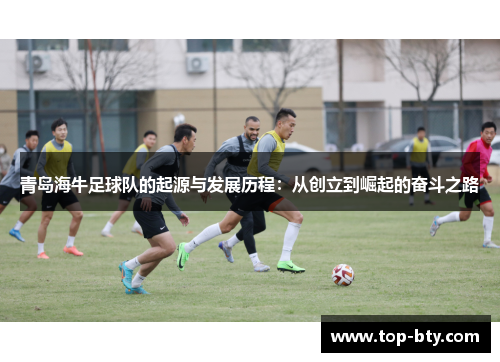 青岛海牛足球队的起源与发展历程：从创立到崛起的奋斗之路